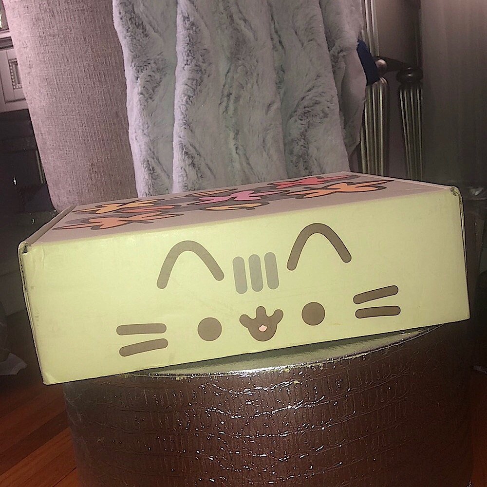 Pusheen box